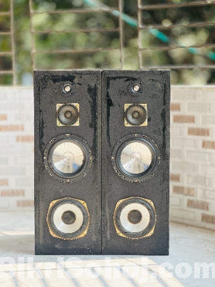 12 Inch 2.1 Pioneer Sound System